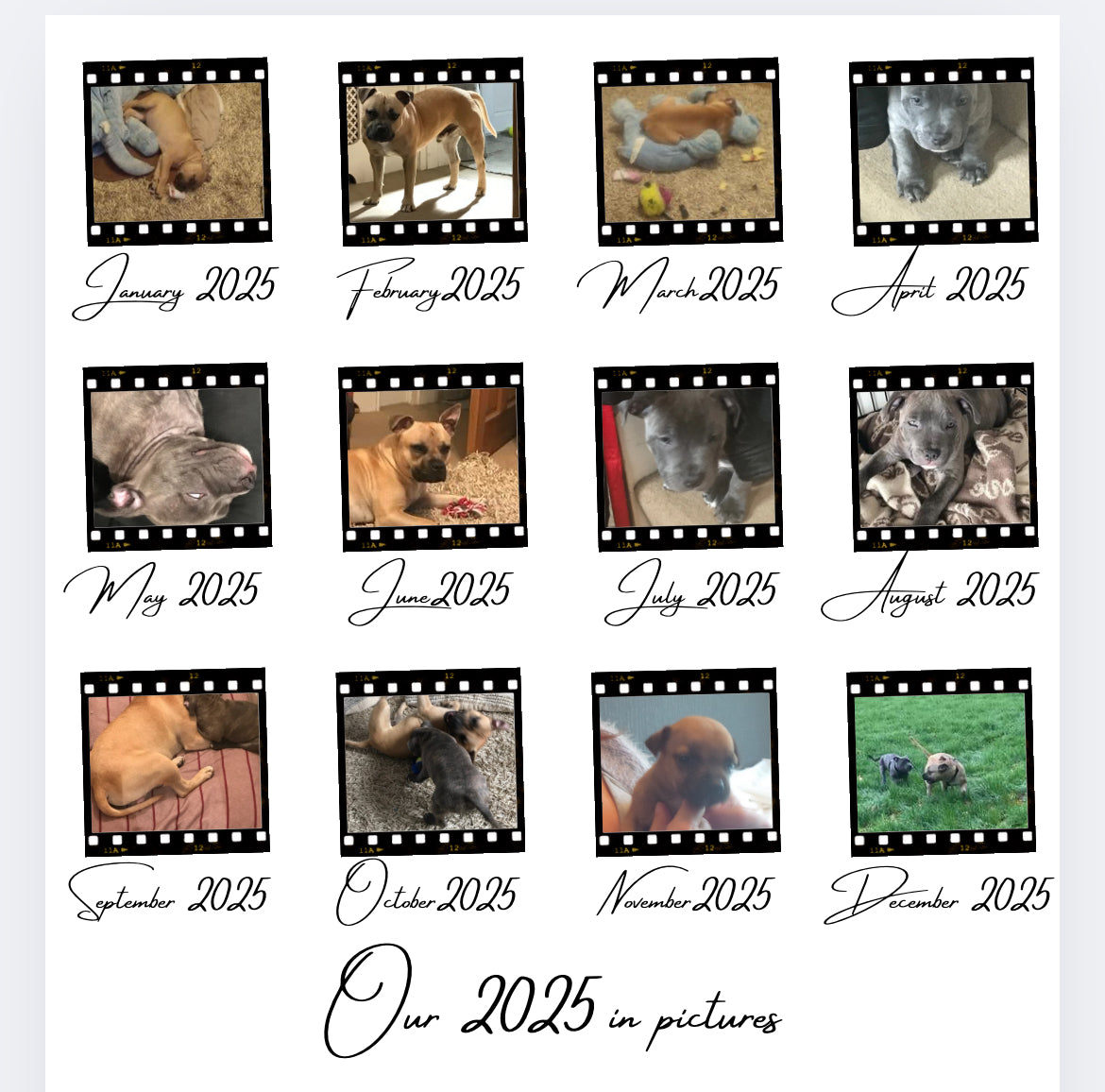 12 months of……..Negative film DTF POD