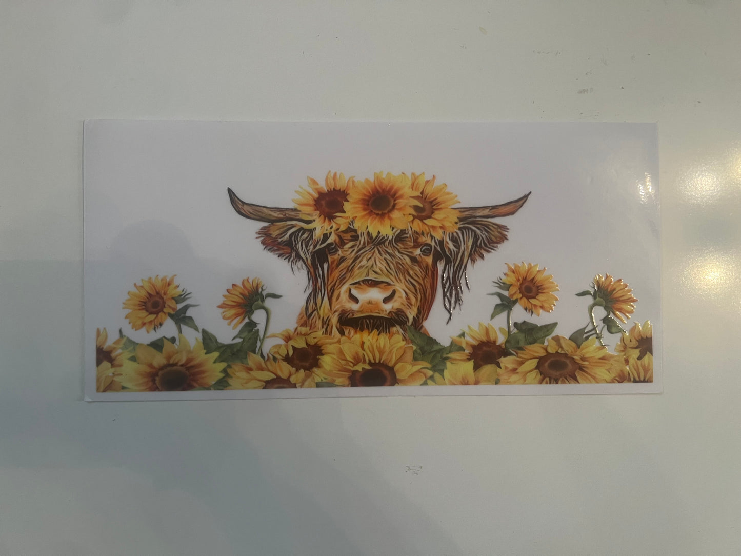 Highland cow wrap