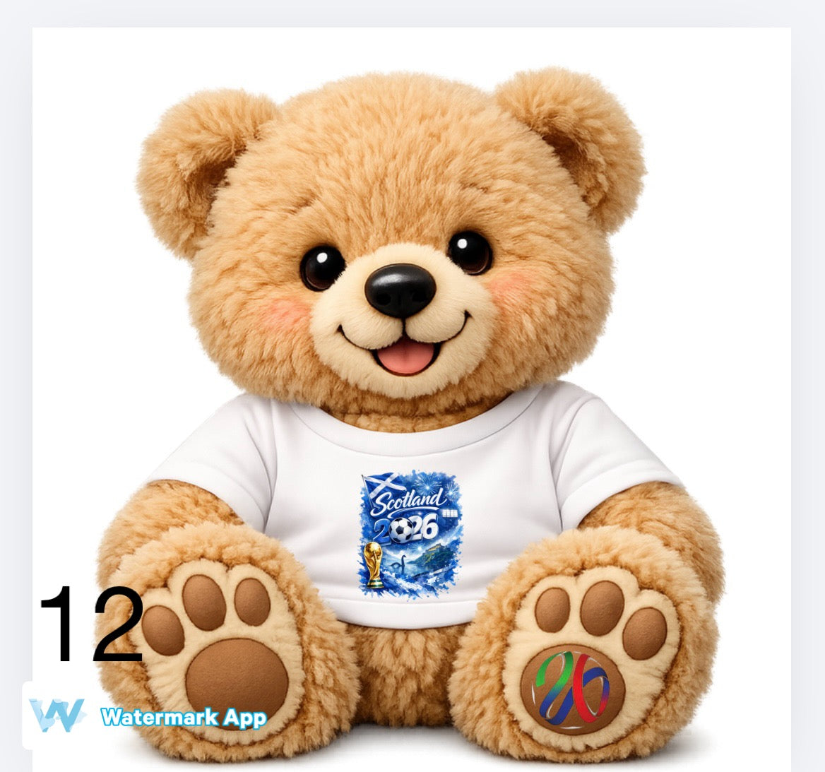 World Cup theme bears including England and Scotland   DTF (POD) exclusive