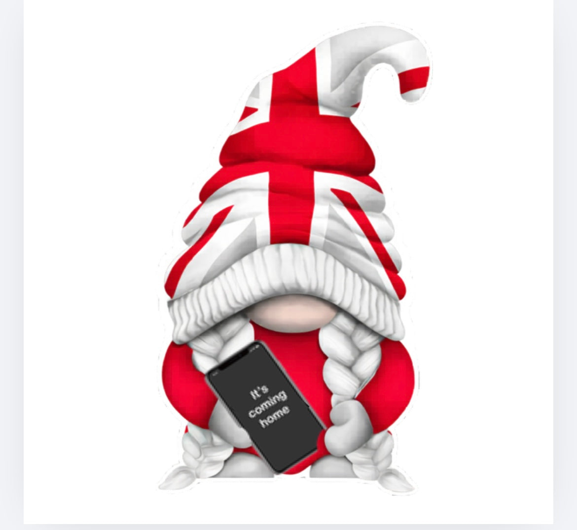 England it’s coming home gonks  Football World Cup 2026 DTF (POD) exclusive