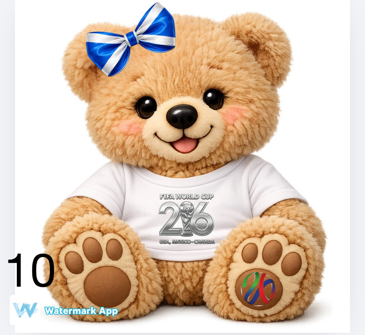 World Cup theme bears including England and Scotland   DTF (POD) exclusive