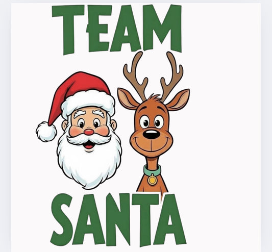 Team Christmas DTF (POD)