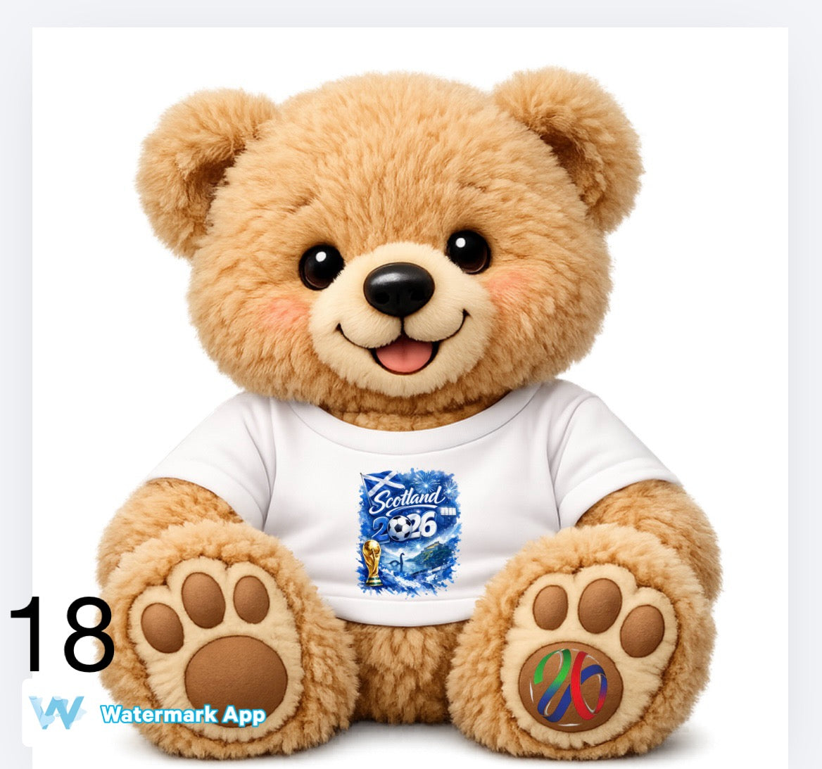 World Cup theme bears including England and Scotland   DTF (POD) exclusive