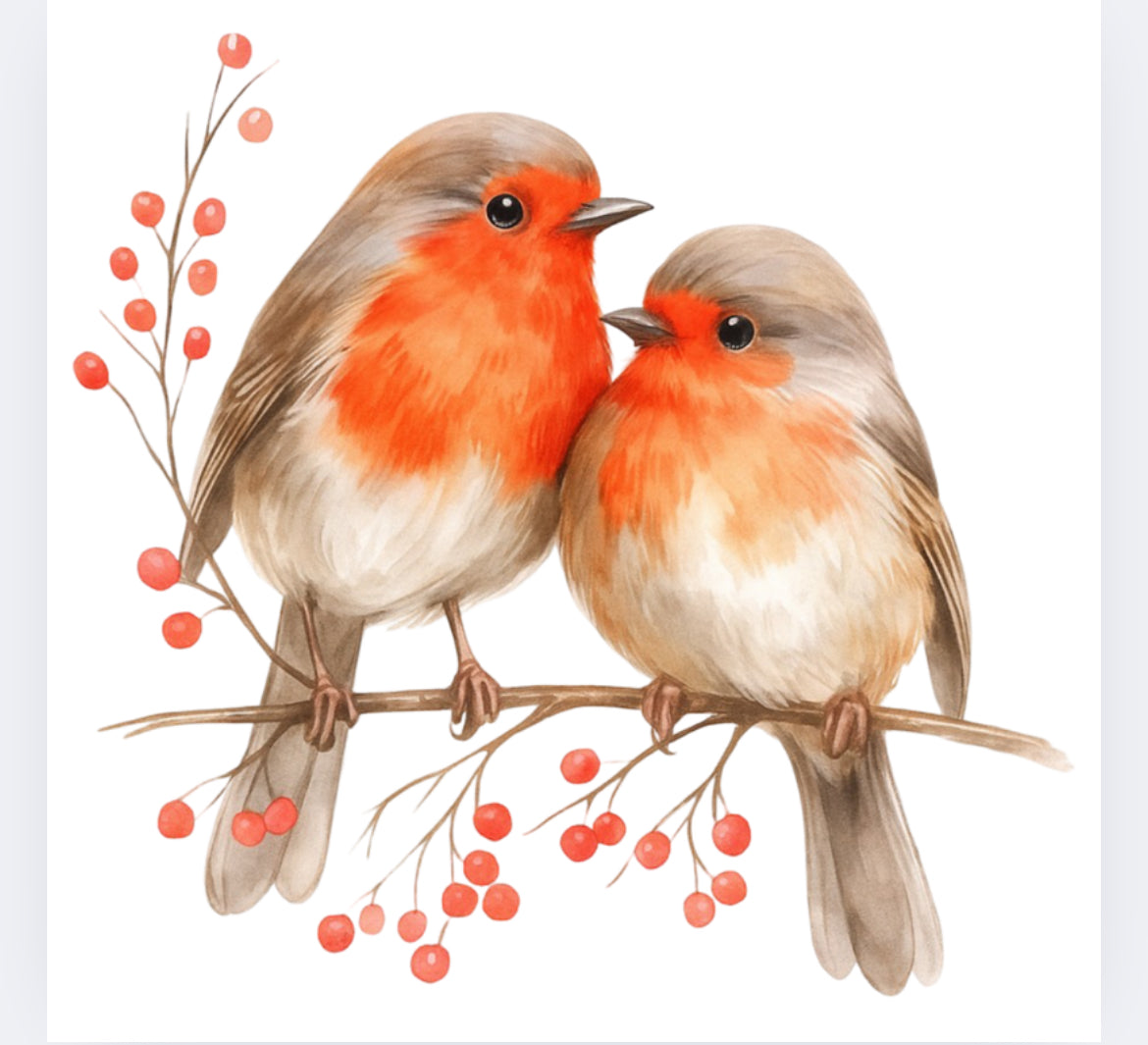 Christmas robins DTF (POD)