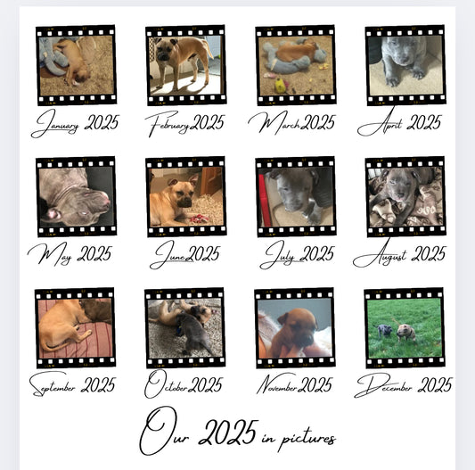 12 months of……..Negative film DTF POD