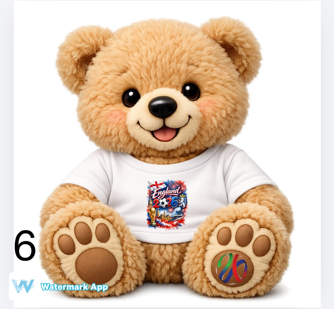 World Cup theme bears including England and Scotland   DTF (POD) exclusive