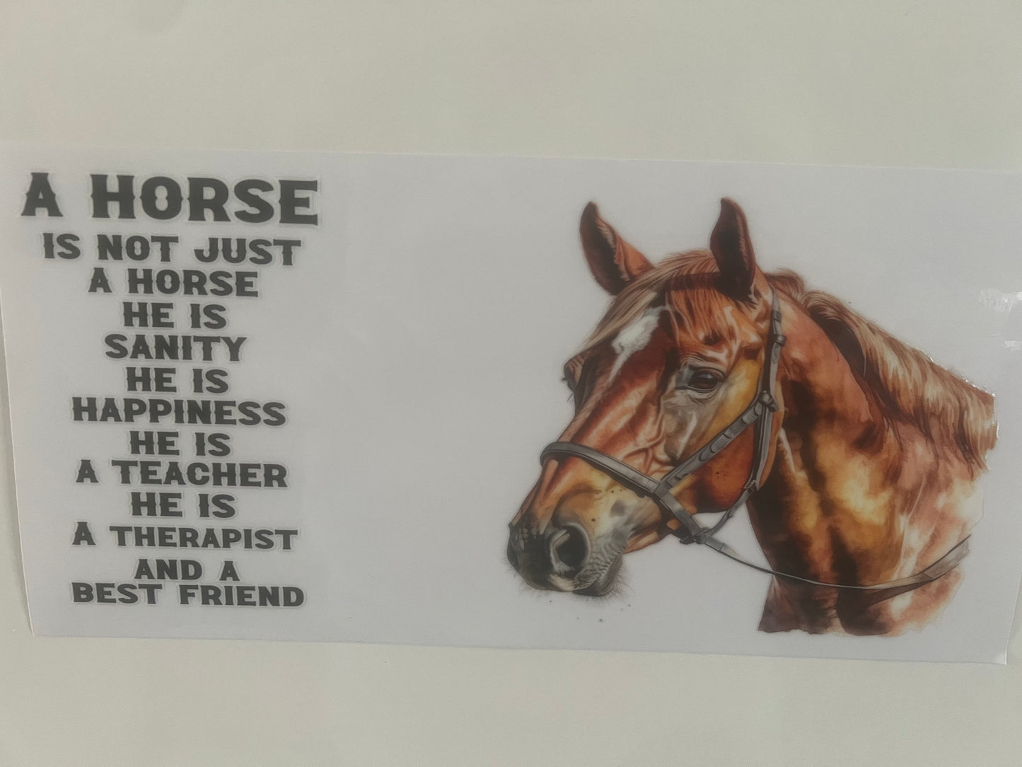A horse is not just a horse wrap